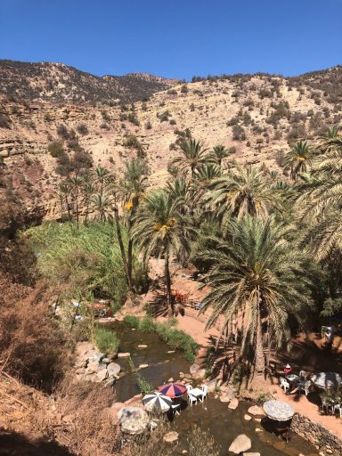 Lush palm trees and a stream beside rocky hills under a clear blue sky.