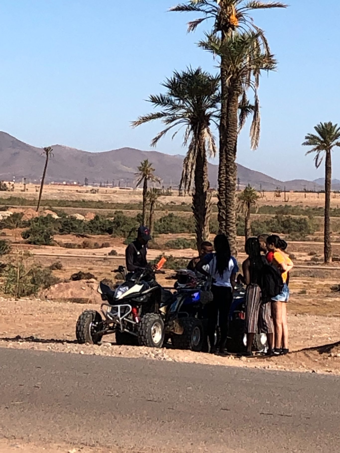 Group of people near quad bikes in a desert landscape with palm trees.