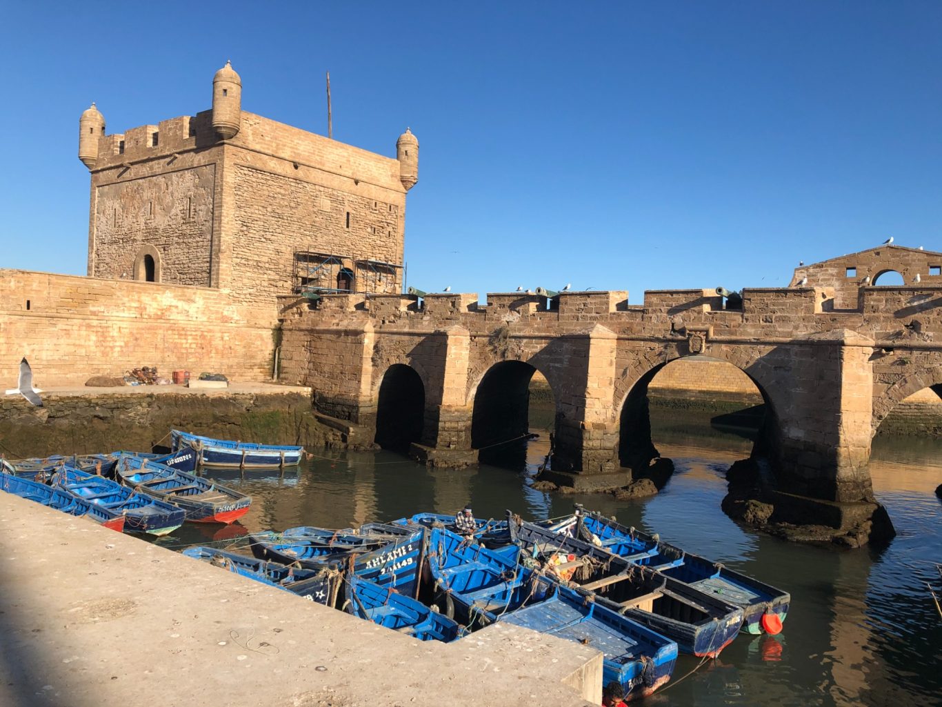 Essaouira A historic fortress beside a canal with blue fishing boats moored at the bank.