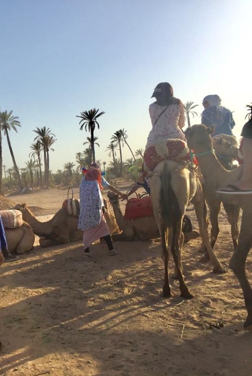 People riding camels in a desert landscape with palms and a clear sky.