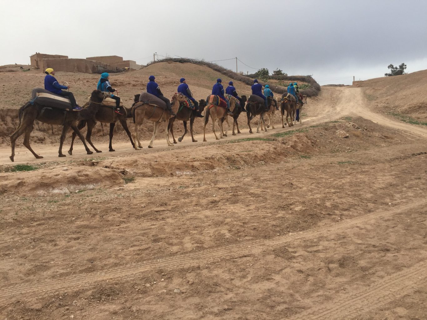 A line of people on camels walking along a dusty path in a desert landscape.
